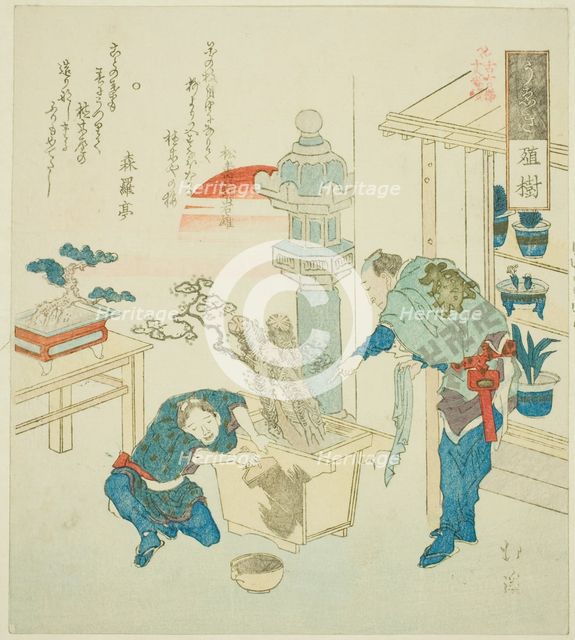 Potted Plant (Ueki), from the series "Eighteen Illustrations of the Ladder of Ancient Words..., 1831 Creator: Totoya Hokkei.