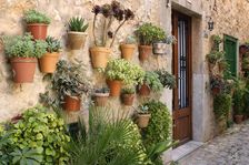 Potted plants on the wall of a house, Valldemossa, Mallorca, Spain