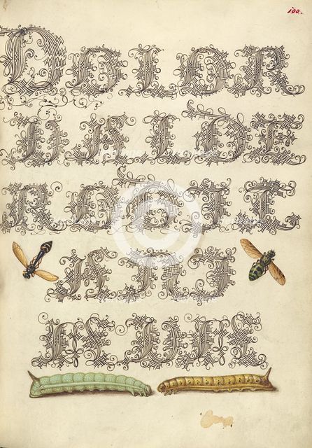 Potter Wasp, Hover Fly, and Caterpillars, 1561-1562; illumination added 1591-1596. Creator: Joris Hoefnagel.