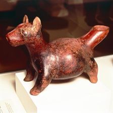 Pottery vessel of Ancient breed of Mexican dog, Colima Culture, Mexico, 300-900