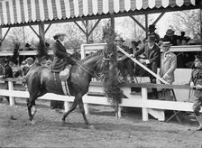 Potts, Mrs. Alan - Horse Show, 1914. Creator: Harris & Ewing