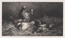 Poules, 1867. Creator: Charles Emile Jacque