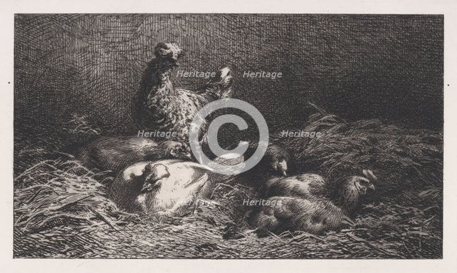 Poules, 1867. Creator: Charles Emile Jacque.