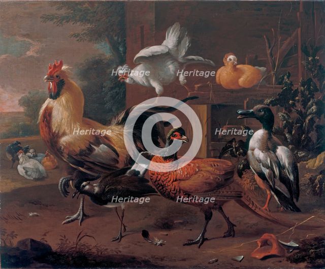 Poultry-yard, 1650. Creator: Melchior d'Hondecoeter.