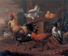 Poultry-yard, 1650. Creator: Melchior d'Hondecoeter