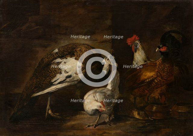 Poultry Yard with Peacock and Peahen, 1601-1700. Creator: Mario Nuzzi.