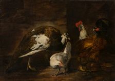 Poultry Yard with Peacock and Peahen, 1601-1700. Creator: Mario Nuzzi