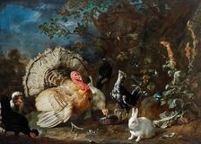 Poultry and rabbits, c1706. Creator: Franz Werner von Tamm