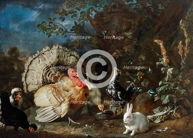 Poultry and rabbits, c1706. Creator: Franz Werner von Tamm.
