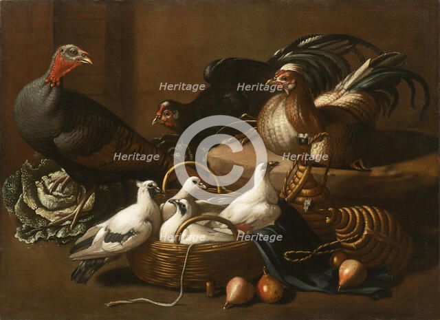 Poultry in the Kitchen, Mid of 17th cen.. Creator: Kerckhoven (Giacomo da Castello), Jacob van der (1636/37-after 1712).
