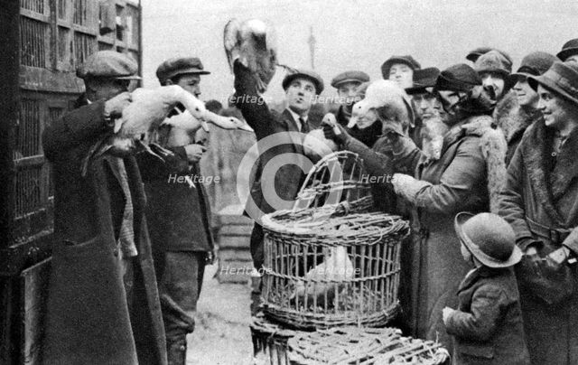 Poultry merchants, Caledonian Market, London, 1926-1927. Artist: Unknown