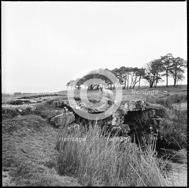 Powder Mills Clapper Bridge, Dartmoor, Devon, 1967. Creator: Eileen Deste.