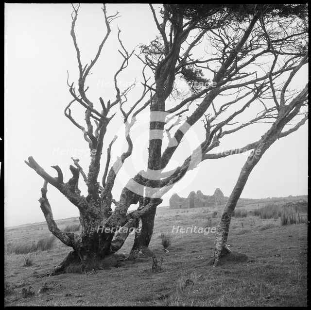 Powder Mills, Dartmoor, Devon, 1967. Creator: Eileen Deste.