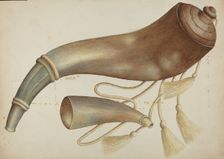 Powder Horn, c. 1937. Creator: Margaret Stottlemeyer