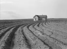 Power farming displaces tenants from the land..., Childress County, Texas Panhandle, 1938. Creator: Dorothea Lange