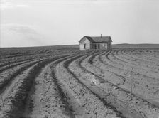 Power farming displaces tenants from the land..., Childress County, Texas Panhandle, 1938. Creator: Dorothea Lange