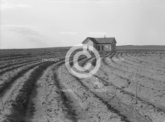 Power farming displaces tenants from the land..., Childress County, Texas Panhandle, 1938. Creator: Dorothea Lange.