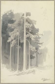 Poetic coniferous forest on a slope, sketch of a figure walking downhill (or leaning?)..., 1844. Creator: Carl Theodor Reiffenstein