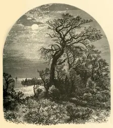 Point of Cape Ann, from Cedar Avenue, Pigeon Cove 1874. Creator: J. C. S.