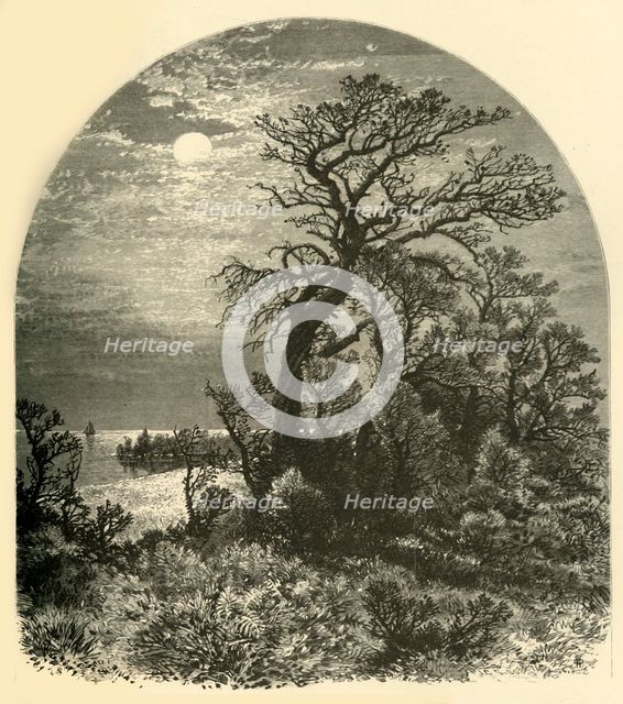 'Point of Cape Ann, from Cedar Avenue, Pigeon Cove', 1874.  Creator: J. C. S..