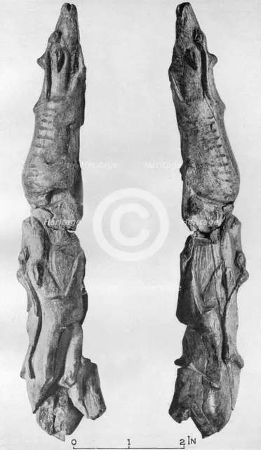 Point of mammoth tusk carved with reindeer, from Montastruc, Bruniquel, France, 1926. Artist: Unknown