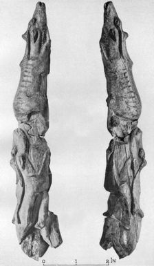 Point of mammoth tusk carved with reindeer, from Montastruc, Bruniquel, France, 1926