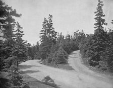 Point Pleasant Park, Halifax, Nova Scotia c1897. Creator: Unknown
