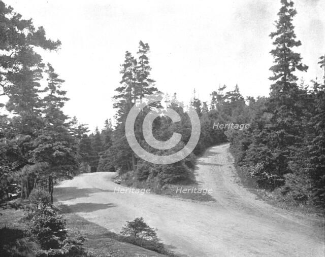 Point Pleasant Park, Halifax, Nova Scotia, Canada, c1900. Creator: Unknown.