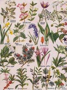 Poisonous Plants Found in the British Isles 1935