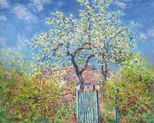 Poirier en Fleurs (Pear Tree in Blossom), 1885. Creator: Monet, Claude (1840-1926)