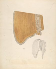 Poke Bonnet, c. 1937. Creator: Arelia Arbo