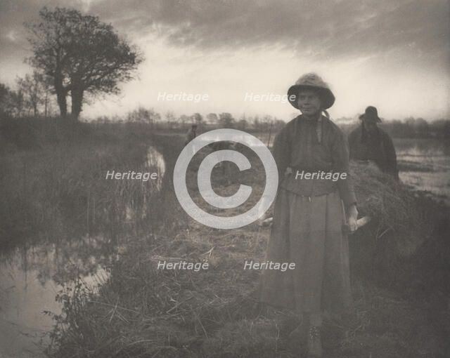 Poling the Marsh Hay, 1886. Creator: Dr Peter Henry Emerson.