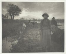 Poling the Marsh Hay, 1886. Creator: Peter Henry Emerson