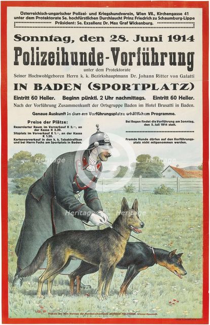 Police Dog Demonstration in Baden, 1914. Creator: Anonymous.