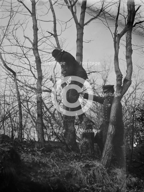 Policeman, police dog treeing tramp, New York City, 1912. Creator: Bain News Service.