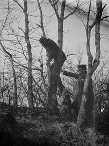 Policeman, police dog treeing tramp, New York City, 1912. Creator: Bain News Service