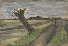 Pollard Willow