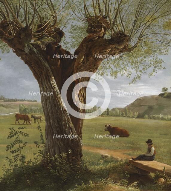 Pollard Willow, after 1804. Creator: Pierre Jean Boquet (French, 1751-1817).