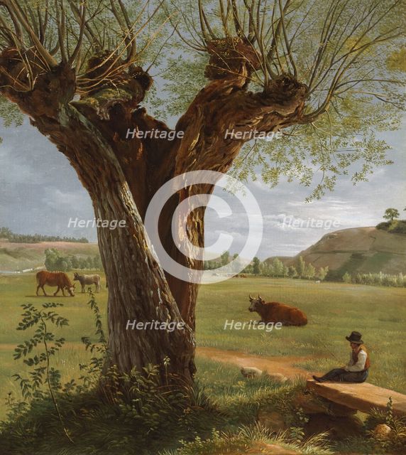 Pollard Willow, after 1804. Creator: Pierre Jean Boquet (French, 1751-1817).