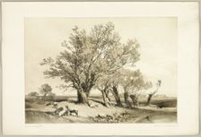 Pollard Willow, from The Park and the Forest, 1841. Creator: James Duffield Harding