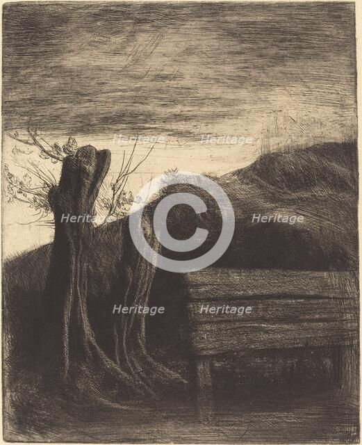 Pollard Willows (Les saules tetards). Creator: Alphonse Legros.