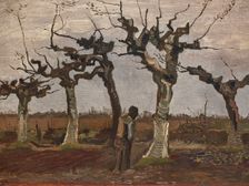 Pollard birches, 1884. Creator: Gogh, Vincent, van (1853-1890)