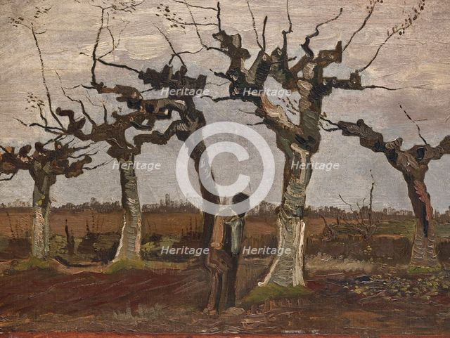 Pollard birches, 1884. Creator: Gogh, Vincent, van (1853-1890).