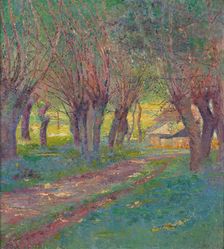 Pollarded willows in Weyer, 1909. Creator: Franz Jaschke