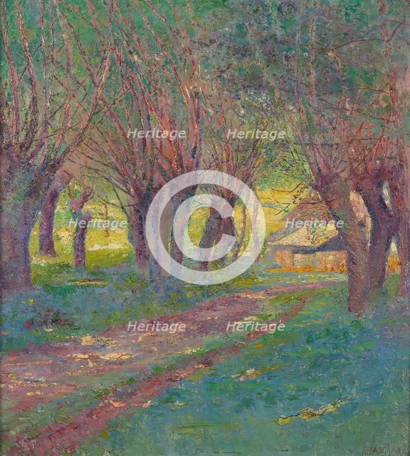 Pollarded willows in Weyer, 1909. Creator: Franz Jaschke.