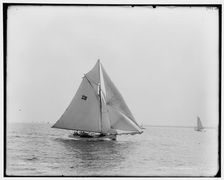 Polly, 1891 June 16. Creator: Unknown