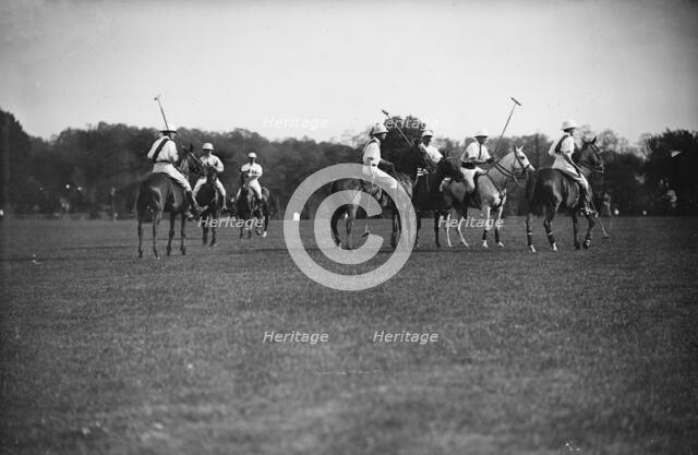 Polo, between c1910 and c1915. Creator: Bain News Service.