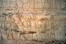 Polychrome relief depicting offering bearers, Mastaba of Mereruka, Saqqara, Egypt, 2340 BC (2003). Creator: Unknown