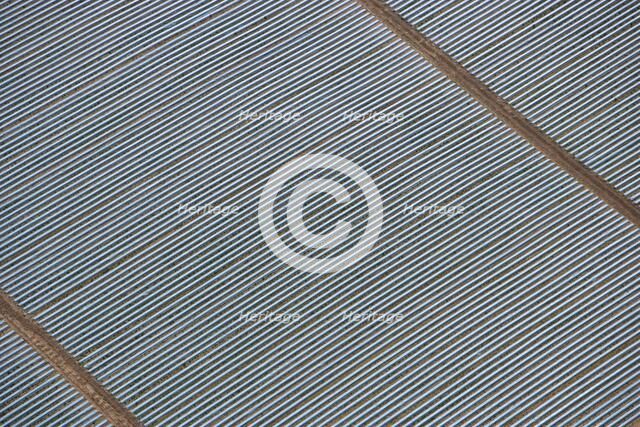 Polytunnels at Wood Bevington Farm, Salford Priors, Warwickshire, 2007. Artist: Historic England Staff Photographer.