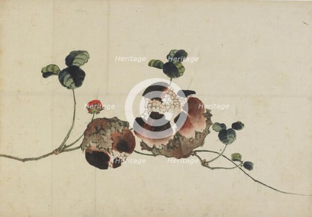 Pomegranates, late 18th-early 19th century. Creator: Hokusai.